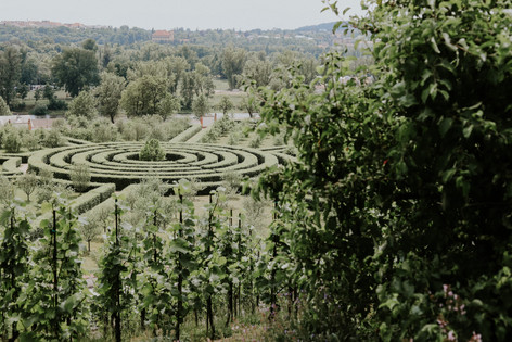 untitled image